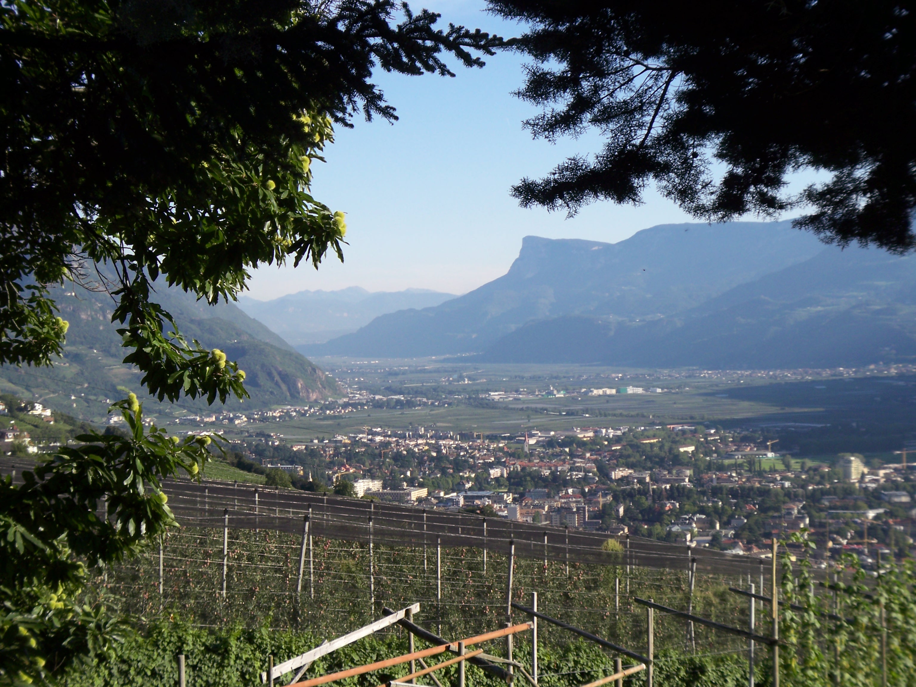 Blick auf Meran